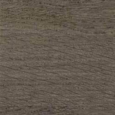 Линолеум Taralay Initial Comfort 0069 Wood Noisette фото 1 | FLOORDEALER